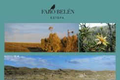 faro_belen_18