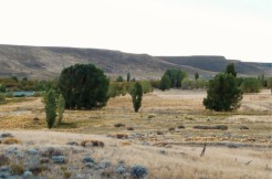 Campo en Ruta Nacional 40