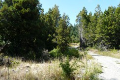 Terreno en el circuito Mallin Ahogado