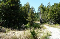 Terreno en el circuito Mallin Ahogado