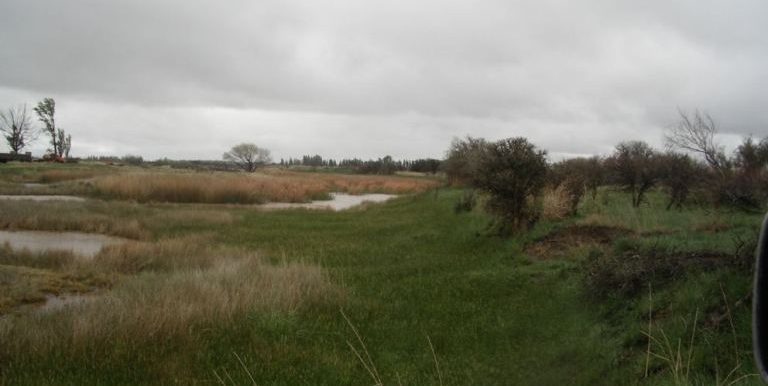 Arroyo interno