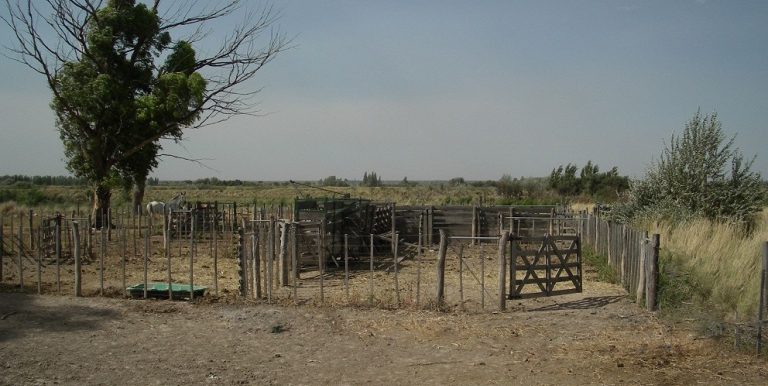 Corral