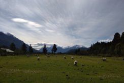 CAMPO  en  El Foyel  solo a 100 kilómetros de  BARILOCHE  y a 30 Kilómetros  antes de llegar a EL BOLSON