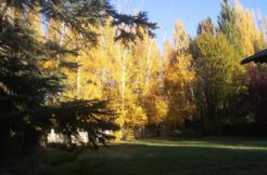 VENDO CAMPO PRODUCTIVO DE 11 HAS EN CTE. CORDERO