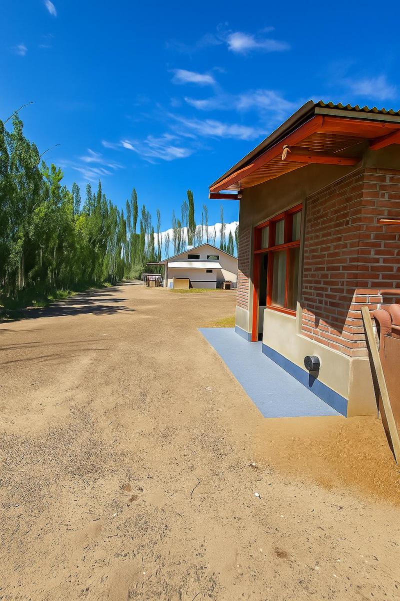 Alquiler departamento