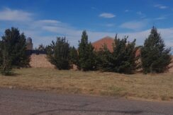 Terreno en venta, Barrio Remolin. Fdz Oro