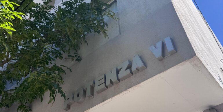 WhatsApp Image 2026-02-09 at 11.51.47 AM