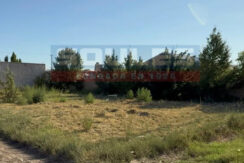 SOULES VENDE TERRENO