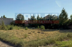 SOULES VENDE TERRENO