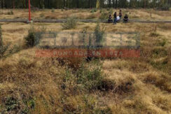 SOULES VENDE TERRENO