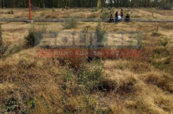 SOULES VENDE TERRENO