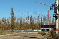 SOULES VENDE LOTEO COMERCIAL SERVICIO DE RUTA
